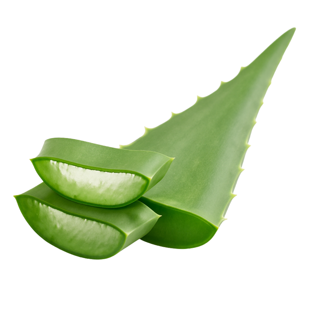 STRENGTHENS FOLLICLES
